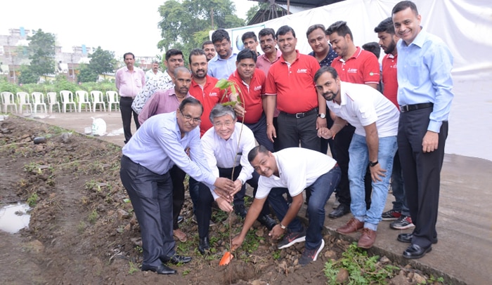 50 NGO volunteers planted 200 trees 